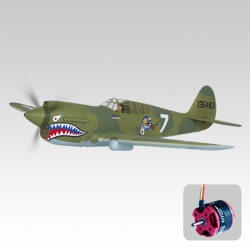 Thunder Tiger  P-40 WARHAWK OBL